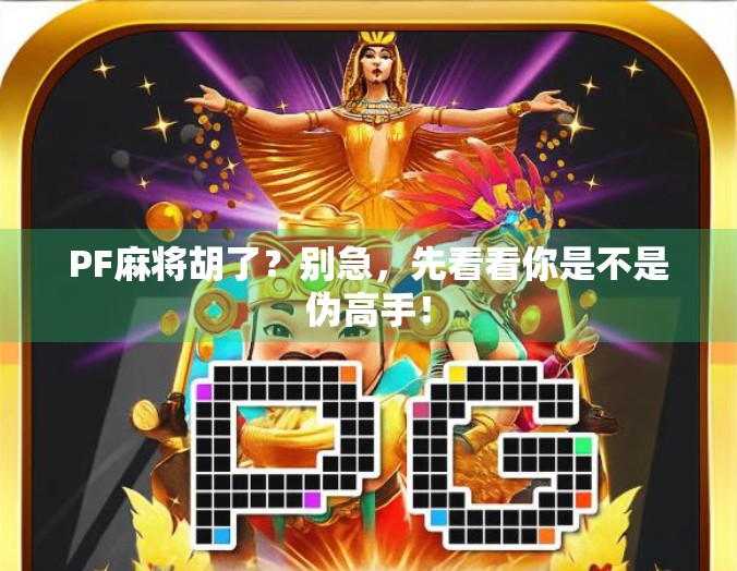 PF麻将胡了？别急，先看看你是不是伪高手！