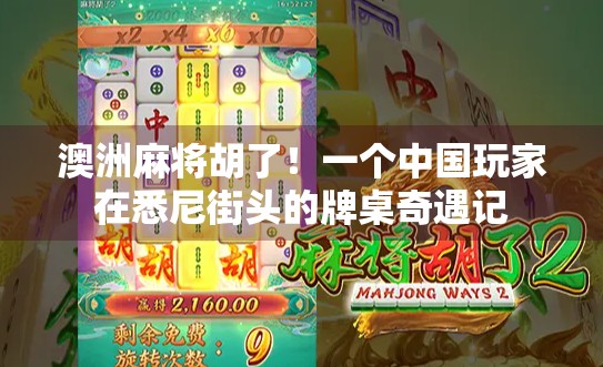 澳洲麻将胡了!一个中国玩家在悉尼街头的牌桌奇遇记 澳洲麻将胡了!一个中国玩家在悉尼街头的牌桌奇遇记