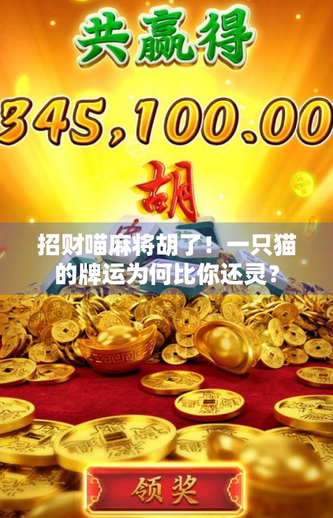 招财喵麻将胡了！一只猫的牌运为何比你还灵？