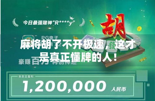 麻将胡了不开极速，这才是真正懂牌的人！