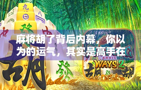 麻将胡了背后内幕，你以为的运气，其实是高手在算牌