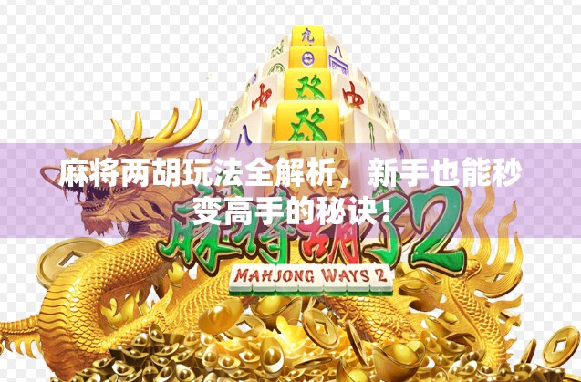 麻将两胡玩法全解析，新手也能秒变高手的秘诀！