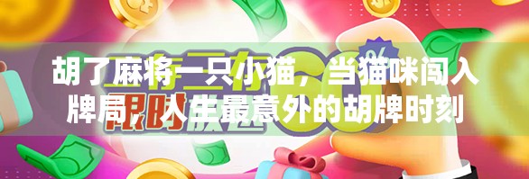 胡了麻将一只小猫,当猫咪闯入牌局,人生最意外的胡牌时刻